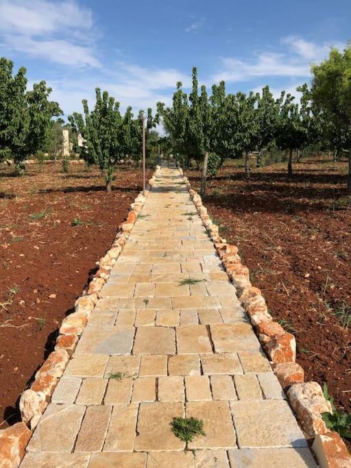 Ulivo Βίλα Monopoli Εξωτερικό φωτογραφία